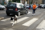 sacca_modena_morselli_stefano_271209_0071.jpg