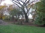 Filename=1019.jpg
Filesize=192KiB
Dimensions=1024x768
Date added=Nov 12, 2009 1019.jpg