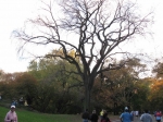 Filename=1025.jpg
Filesize=162KiB
Dimensions=1024x768
Date added=Nov 12, 2009 1025.jpg