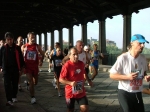 Pavia_060.jpg