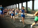 Pavia_069.jpg