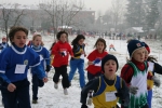 IMG_9455.jpg