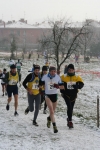 IMG_9692.jpg