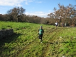 115.jpg