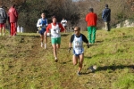 Filename=RIS_3334_2.jpg
Filesize=229KiB
Dimensions=1024x688
Date added=Feb 02, 2010 RIS_3334_2.jpg