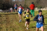 Filename=RIS_3349.jpg
Filesize=211KiB
Dimensions=1024x688
Date added=Feb 02, 2010 RIS_3349.jpg