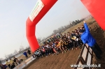 Filename=Frs3001_0450.JPG
Filesize=171KiB
Dimensions=775x516
Date added=Feb 02, 2010 Frs3001_0450.JPG