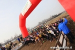 Filename=Frs3001_0452.JPG
Filesize=172KiB
Dimensions=775x516
Date added=Feb 02, 2010 Frs3001_0452.JPG