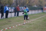 Filename=DSC05520.jpg
Filesize=86KiB
Dimensions=1016x680
Date added=Nov 16, 2009 DSC05520.jpg