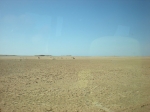 Filename=91.jpg
Filesize=89KiB
Dimensions=1016x763
Date added=Nov 13, 2009 91.jpg