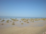 Filename=97.jpg
Filesize=61KiB
Dimensions=1016x763
Date added=Nov 13, 2009 97.jpg