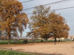 103.jpg