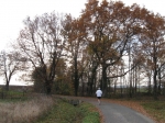 108.jpg