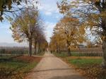 110.jpg