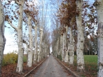 171.jpg