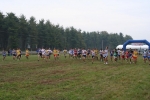 IMG_7812.jpg