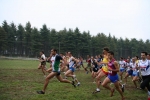 IMG_7931.jpg
