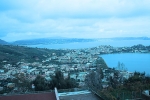 bacoli_2009_brontolone_salvo_0029.jpg