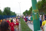 bacoli_2009_brontolone_salvo_0077.jpg