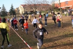 Filename=IMG_0059.JPG
Filesize=308KiB
Dimensions=1296x864
Date added=Jan 10, 2010 IMG_0059.JPG