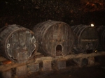 194.jpg