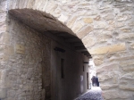 236.jpg