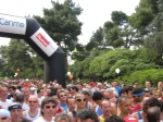 786.jpg