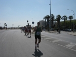 1295.jpg