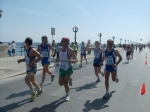 258.jpg