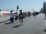 531.jpg