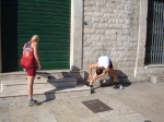 DSCF8910.jpg