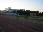 mirtot_024.jpg