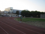 mirtot_026.jpg