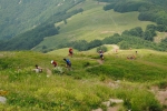 img_1605.jpg
