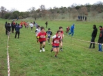 Filename=115.jpg
Filesize=148KiB
Dimensions=1016x762
Date added=Mar 01, 2010 115.jpg
