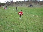 Filename=139.jpg
Filesize=144KiB
Dimensions=1016x762
Date added=Mar 01, 2010 139.jpg