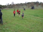 Filename=193.jpg
Filesize=136KiB
Dimensions=1016x762
Date added=Mar 01, 2010 193.jpg