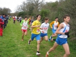Filename=223.jpg
Filesize=156KiB
Dimensions=1016x762
Date added=Mar 01, 2010 223.jpg
