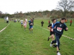 Filename=237.jpg
Filesize=140KiB
Dimensions=1016x762
Date added=Mar 01, 2010 237.jpg