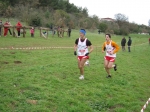 Filename=288.jpg
Filesize=154KiB
Dimensions=1016x762
Date added=Mar 01, 2010 288.jpg