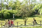 IMG_1424.jpg