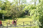 IMG_1425.jpg