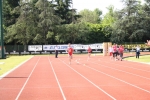 IMG_1486.jpg
