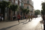 DSC04262.jpg