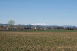 DSC06950.jpg
