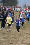 IMG_4864.jpg