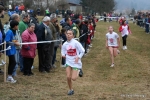 IMG_4938.jpg
