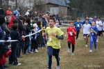IMG_5056.jpg