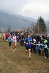 IMG_5260.jpg