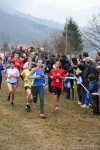 IMG_5263.jpg